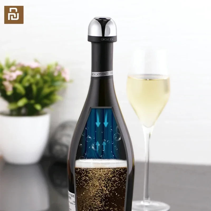 Circle Joy Champagne Stopper